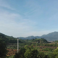 ��÷����