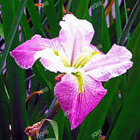 ��������15