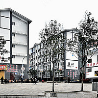 ����2020����-�������ղ��ַ�ƶ��Ŀ�ͷ�ƶ��