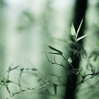 ����һ��ȣ��޺�һ�븣