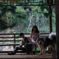 ���鱾��������