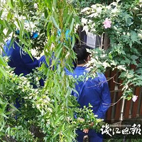 �賿����һ����Ů�ƺ���ˮ��23�����û�ܾȹ�������ˮ���˵���
