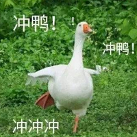 �߿��ڶ��죬��λ�����������ͣ�