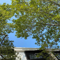 һ���Ӵ���֪��������ѡ������ѵѧУ�ķ���