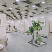 �������Լ��ҳ�����֪����Щ�жϺ��ݻ���ǰʮ����ʵ��֪ʶ