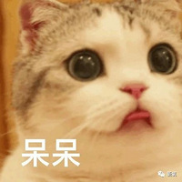 ������1600�����ѧ���е�Ů��...