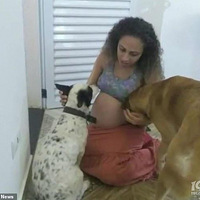 ����Ů�ӱ���9�꣬����˫��̥Ů�������ﹷȴ�򼵶ʽ�Ӥ��ҧ��