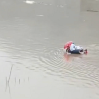 ��ů���ȣ�С�������������ؽ���һ�����¡���