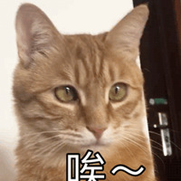 ��������Ů�ѳ��ܺ�Ƽ�ײ���ˣ�ǰ�޵�֪վ�������Ұ�������