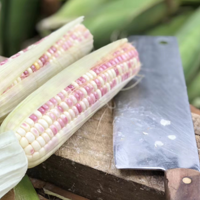 �ļ�ûθ�ڣ���˫����С��Ŵ����2���ӣ���Ŵ�ģ�