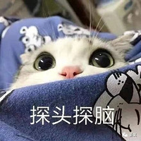 �����˶�Ҫ����������Ǹ�������û��ǻ��ף�