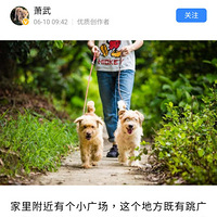 ��ƪ���ڡ�����������������д�úܺ�