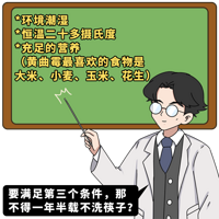 裡5ֹһ°һ
