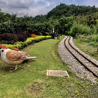 ���˵Ĺ���