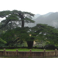 ���������Ĺ���