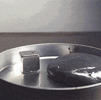 �����ں�����ֻ�Ǳ�ɽһ�ǣ���5��ȫ�����ͺ���ϢϢ���