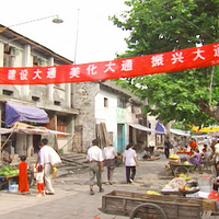 �����������й���ͥ20��: �ܶ�һ��, ������ֻ���޳�