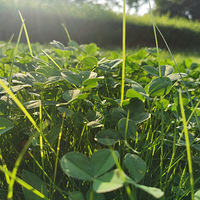 ż��ͽ���ϰ�Ҳ����