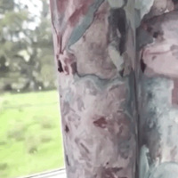 55�겻��飬ɹ������100���˵���