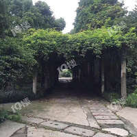 ����Ͱͳ��������˳���ߺ��ϻ����ַ��ʮ���޺��ѪΪ�����Ĵ�