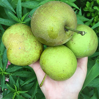 ����������ʲô�ģ��������ϰࣿ