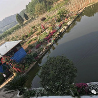 ���š�����Ҫ������һ�����ӡ�, ��Է�����ʱ��������˻�԰