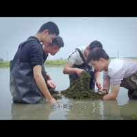 Bվ���ָߴ�9.2�����־Ը�ָ�ϣ�Խ������ӿ�Խ��