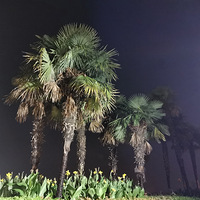 ҹ�ܣ���������