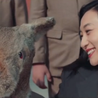 �廪ѧ����ѧ�ؿ�699�֣������������ĺ��ӵ����ж�׬��