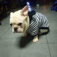 �Ҹ����������̸���ۼޣ���Ϊ���а�������̣������������Ը