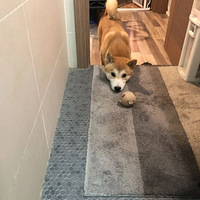 ���Ӵ��ޣ�Ұ��ͷƤ���飡����������