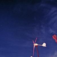 ÿ���˶���һƬ�����Լ���ɭ��