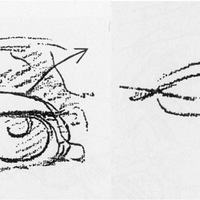 �������ڻ����н�����д��ѵǰһ��Ҫ֪����Щ֪ʶ�㣨��ˮ������