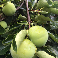 ������������������㣬ֻ���㲻�ϷŹ��Լ���