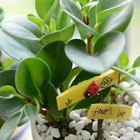 Ϊ��С�����Ķ����ɣ� �Ұ���̨�����ˣ�������һ���鷿��