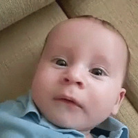 �ҳ��Ի����ʴ���: ������������ͦ��, ��ĸ�ż�ʲô��