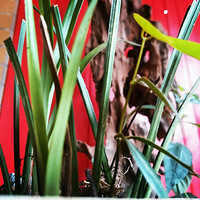 ����ҲҪ�Ȱ�����