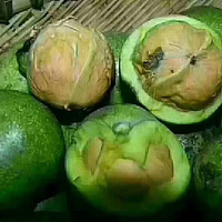 ����ũҩ��ũ�Һ���