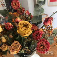 �Ұѽ�����������˸ɻ����������ò��˷ѣ�