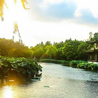 ���ǣ�һ����ʮ����