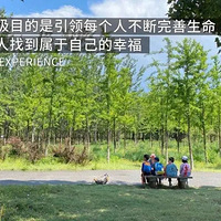 �������ӵġ��������������ǽ�������Ŀ��