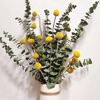 ��������Զ���Ҹ����������ٺ��ʲ�����