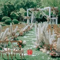 СԤ����ΰ����Ʒ�ʣ�����������Ҫ֪����Щ��