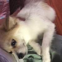 �����˶���ɹ�޵���Ͷ���ֻ��ɹɹ����