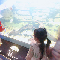 ���������޼ǡ�����ݴ�