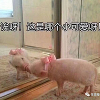 �߰˾ţ���������8�걻��ѡΪ���������������䣡���˳���ȹ���