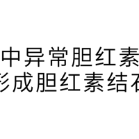 �ܶ��ʯ���ǡ��ԡ������ģ���Щʳ���������