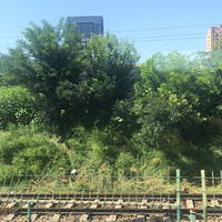 ѡ���ط�ȥ����