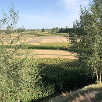 �Һõط��ˣ���Ǯ���١�