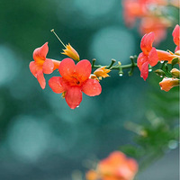 �����ݳ����������衰���ϻ������ˡ�